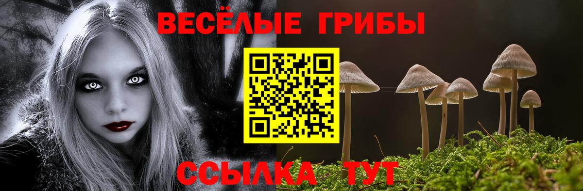 Галлюциногенные грибы Cubensis Россошь